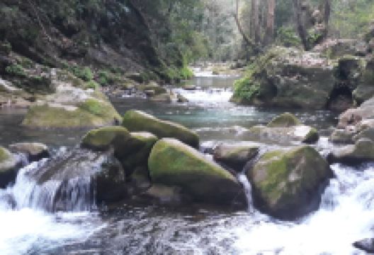 Rio Escanela景点图片