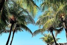 Playa Las Penitas景点图片