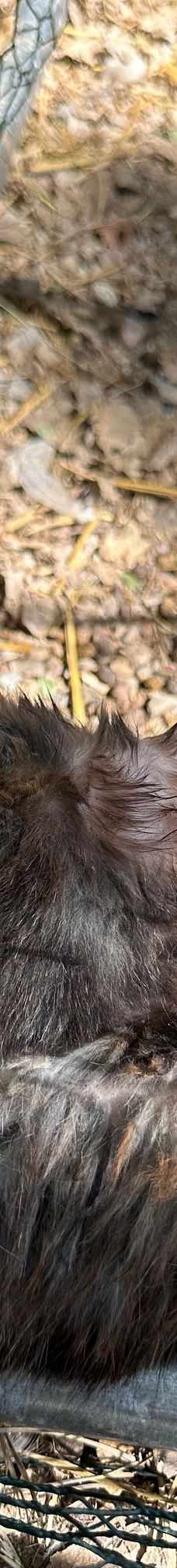 Discovery Farm Saint-André-滨海阿热莱斯