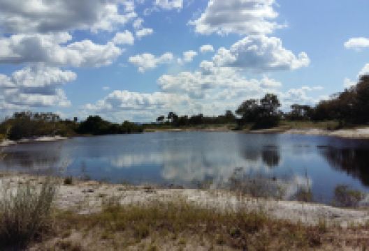 Parque Nacional Montanhas do Tumucumaque景点图片