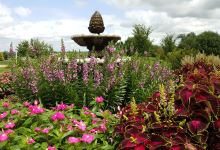 Cedar Valley Arboretum & Botanic Gardens景点图片
