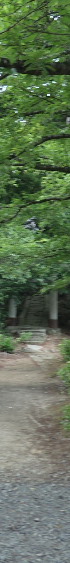 Cat's Shrine-高畠町