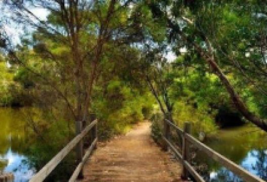 Newport Lakes Reserve景点图片