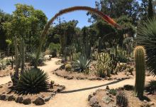 Arizona Garden景点图片