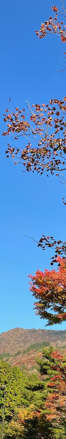 Shirakumo Pond-云仙市