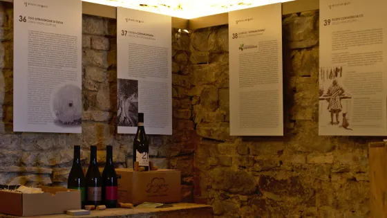 MIG - Musei in Grotta