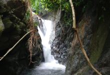 Wang Lung Waterfall景点图片