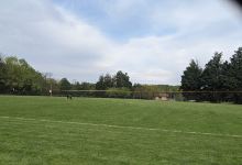 Martin Luther King Jr. Recreational Park Field 2景点图片