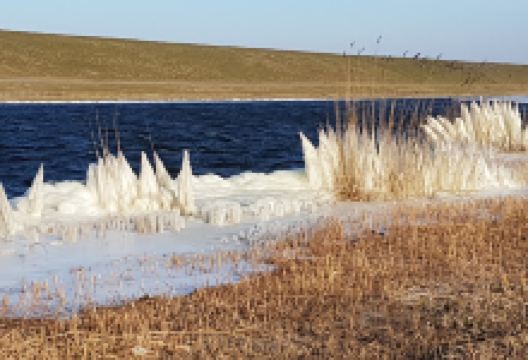 Balgzand景点图片