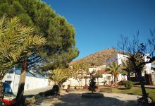 Jardines de la Piscina景点图片