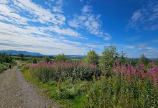 West Highland Way景点图片
