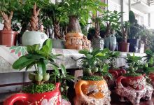 Chùa Kim Long Bến Tre景点图片