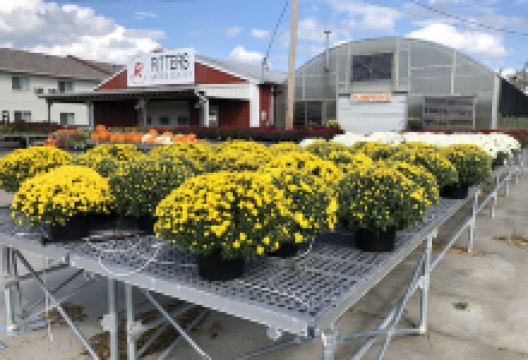 Ritters Garden Center购物图片