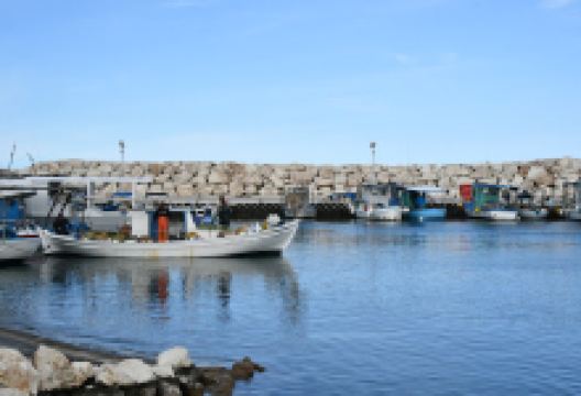 Pomos Municipal Beach景点图片