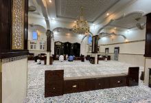 Fan collector景点图片