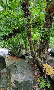 Ton Pring Waterfall-泰孟