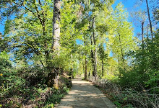 Roger Jordan Community Park景点图片