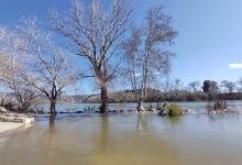 La Peixera. Espigó fluvial.景点图片