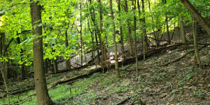 森林公園自然中心