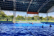 Công Viên Phạm Văn Đồng景点图片