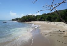 Billy's Bay Natural History Museum景点图片