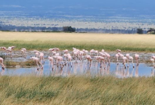 KWS Campsite景点图片