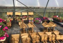 Rockvale Garden Centre购物图片