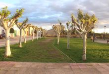 Donantes de Navarre Park景点图片