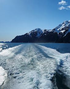 Kenai Fjords Tours-西沃德