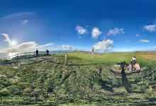Thorncombe Beacon景点图片
