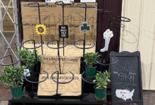 DeNigris Garden Center and Landscaping购物图片