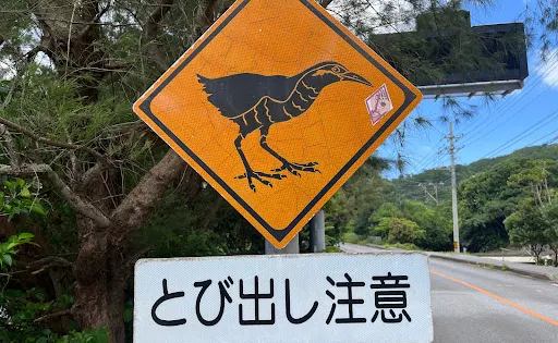 國道58號線 記念碑