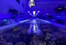 Reefwise购物图片