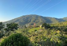 Laberinto de Apaneca景点图片