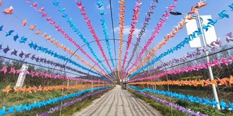 水韻興隆粉黛花海