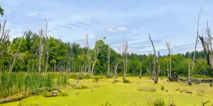 Kortright Centre for Conservation