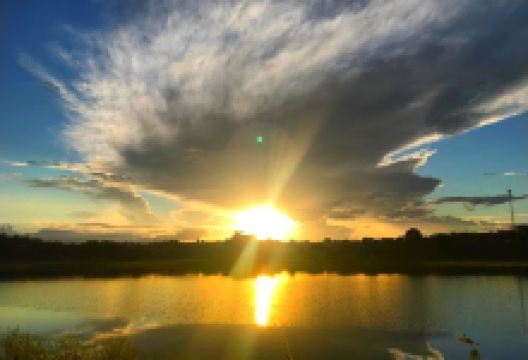 Bosque Municipal Anatildes Dias De Sousa Martins景点图片