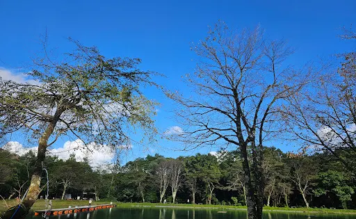 Hakuba Happo Nire Pond Fishing Center
