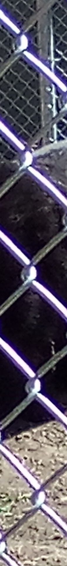 大熊湖动物园-大熊湖