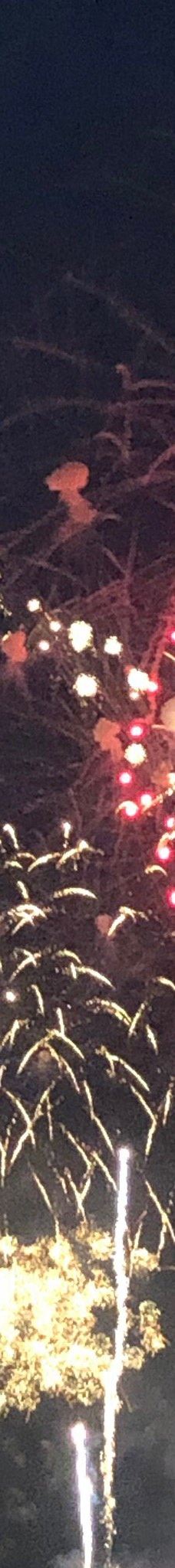 波士顿交响大厅-波士顿