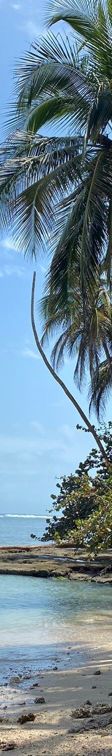 卡维塔国家公园-Talamanca