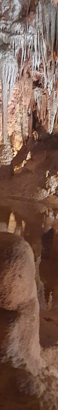 Jama - Grotta Baredine-Gedici