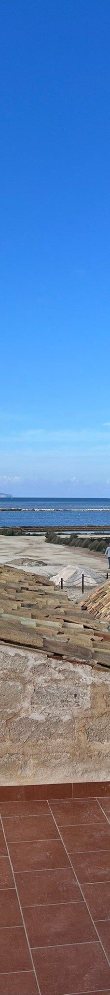 Salt Museum-特拉帕尼省