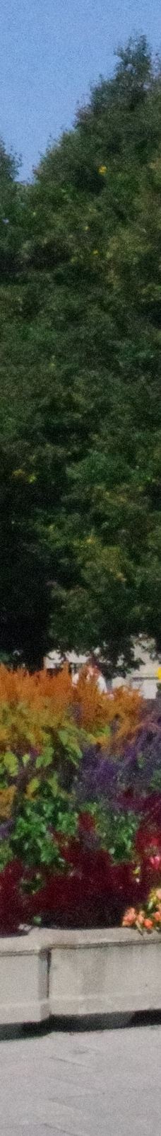 国家战争纪念碑-渥太华