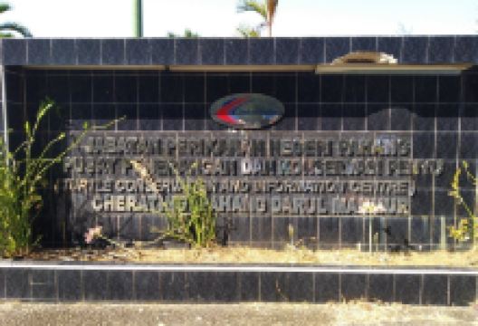 Cherating Turtle Sanctuary景点图片