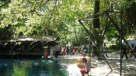 Yuvarlak Cay