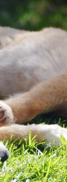 Bunbury Wildlife Park-South Bunbury