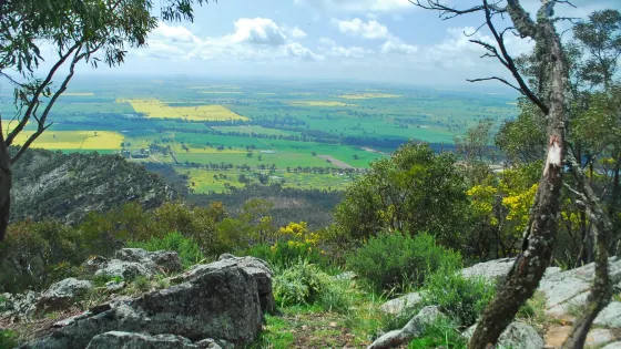 The Rock Nature Reserve