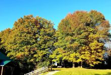 Proctor Park Conservation Area景点图片