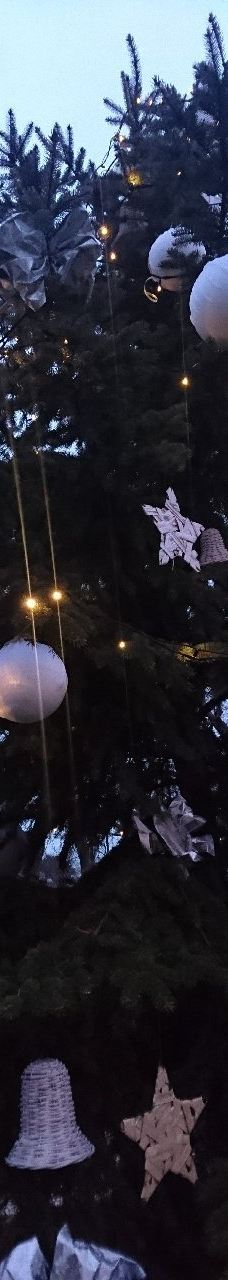 瓦萨里画廊-巴拉顿菲赖德